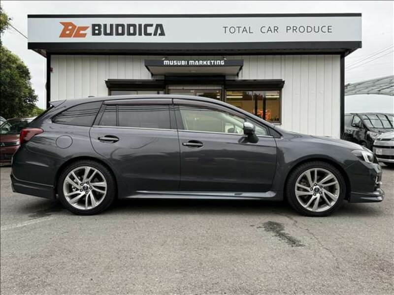 LEVORG
