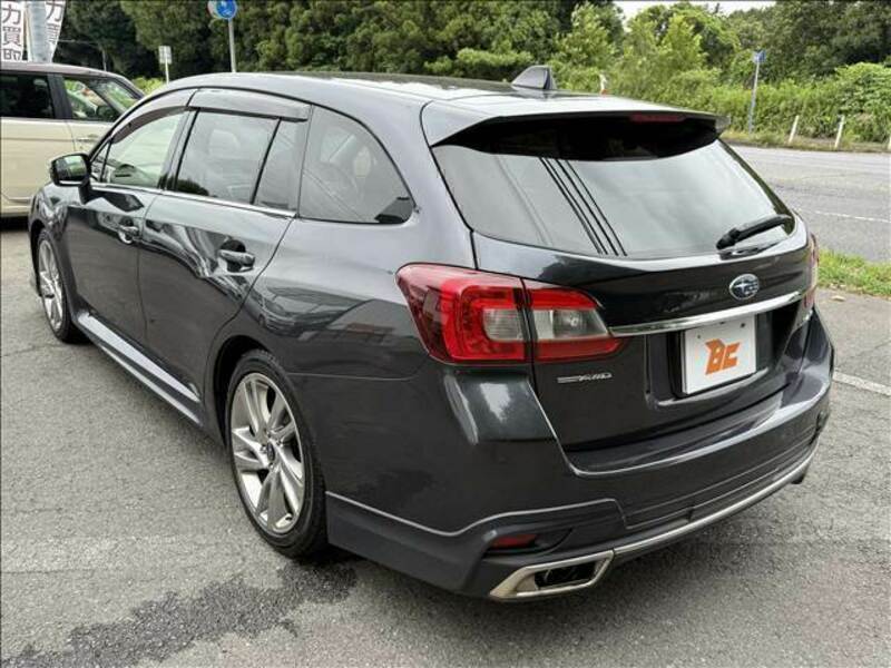 LEVORG
