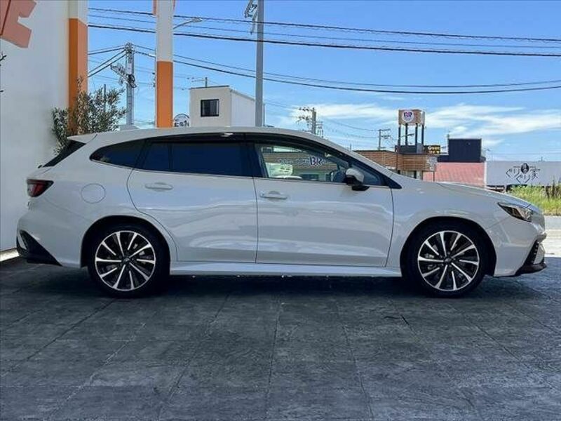 LEVORG