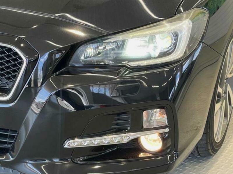 LEVORG
