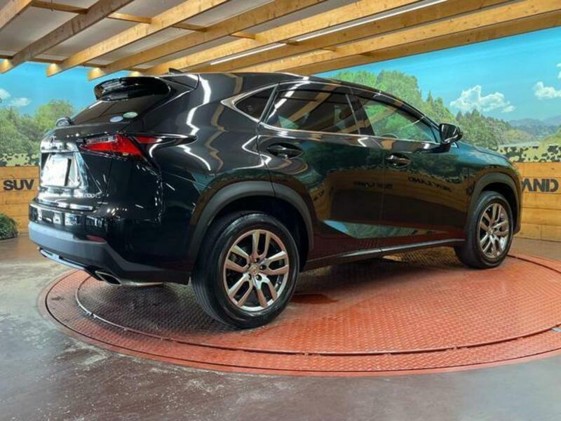 NX