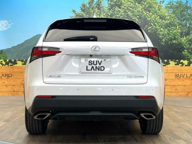 NX