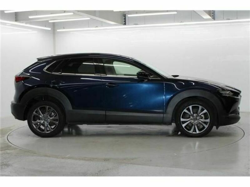 CX-30