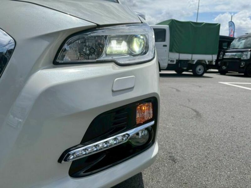 LEVORG