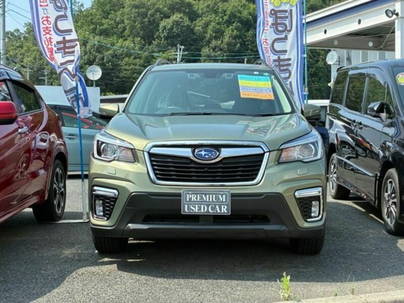 FORESTER