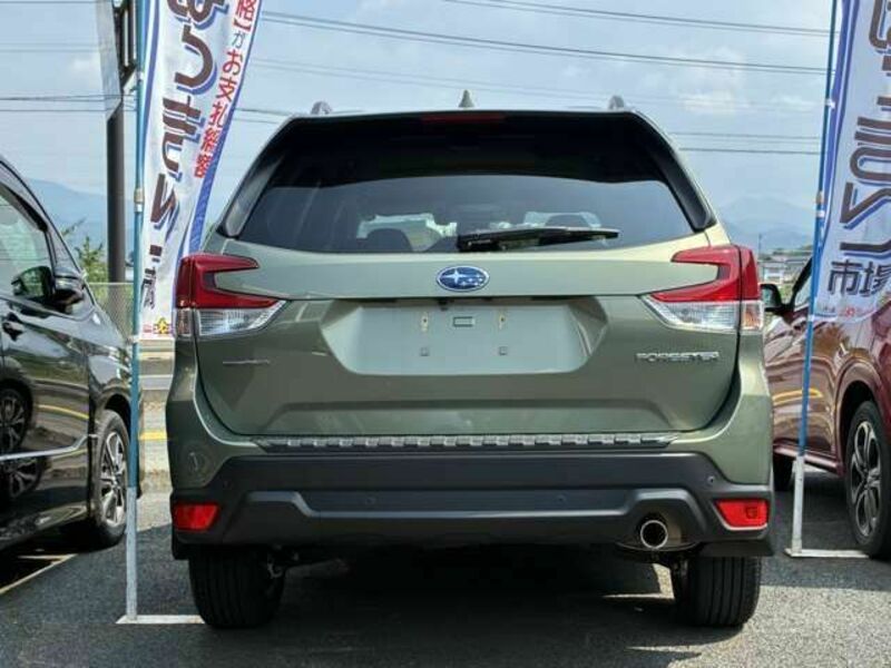 FORESTER