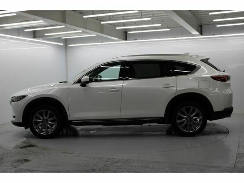 CX-8
