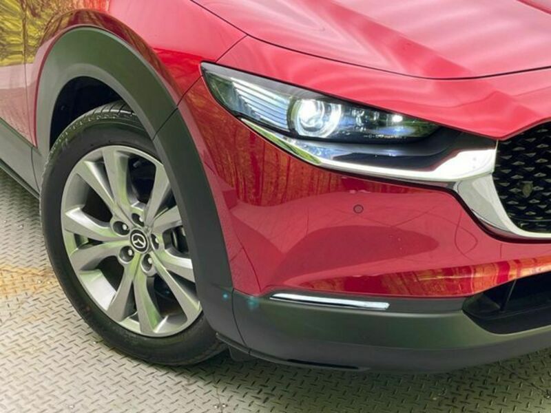 CX-30