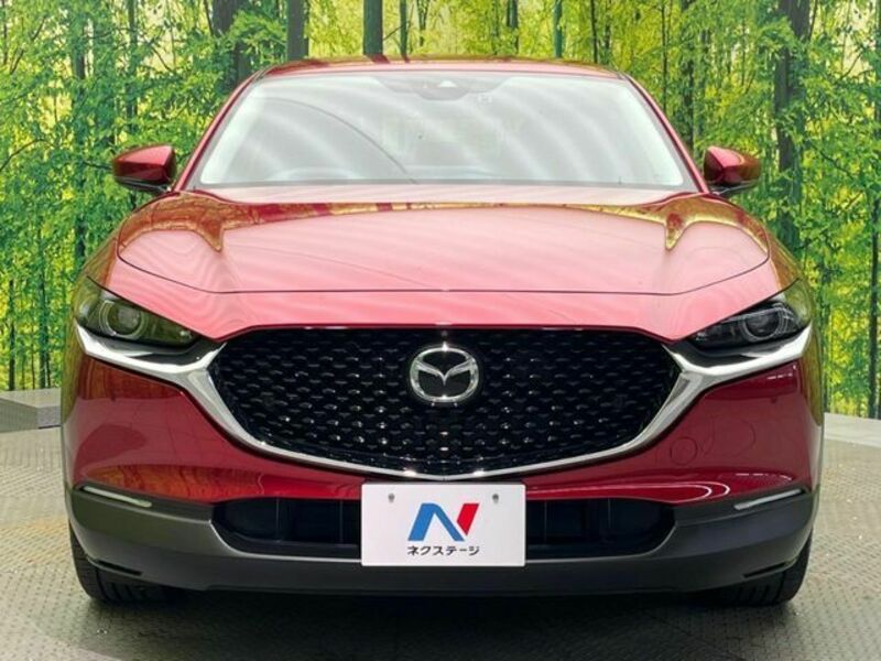 CX-30