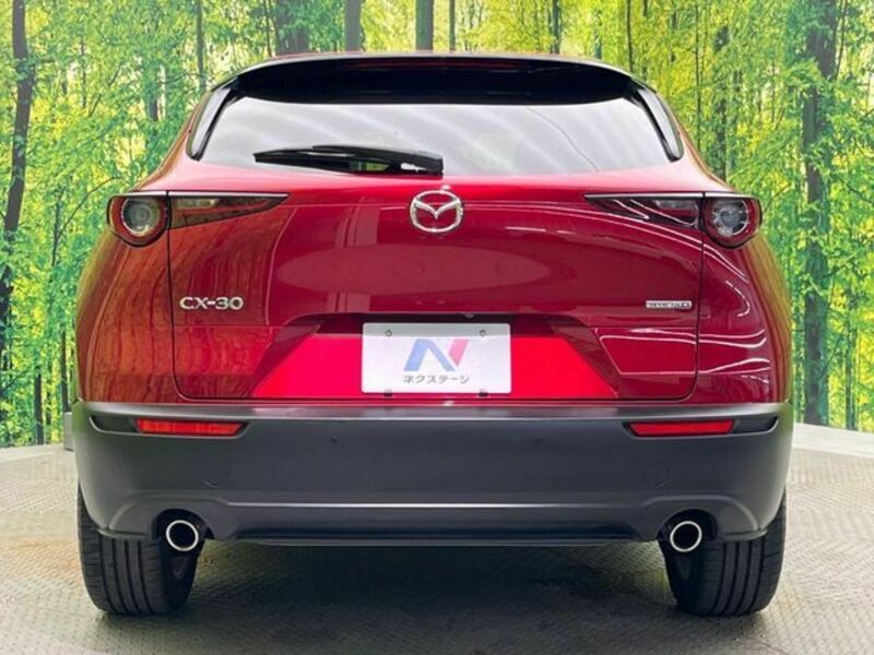 CX-30