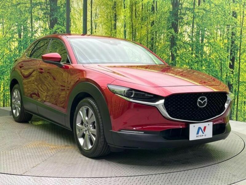 CX-30