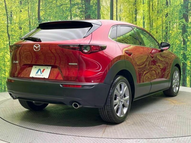 CX-30