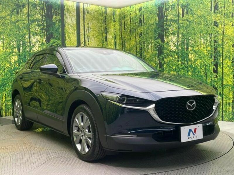 CX-30