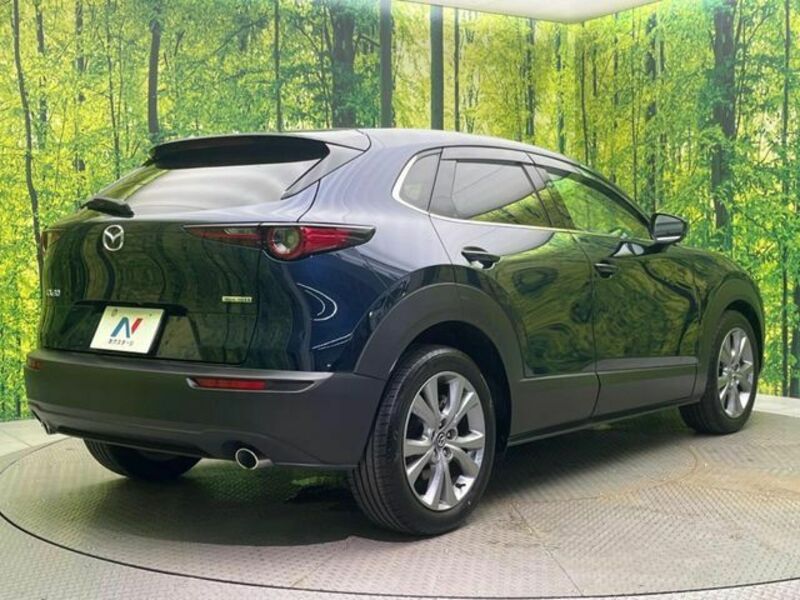 CX-30