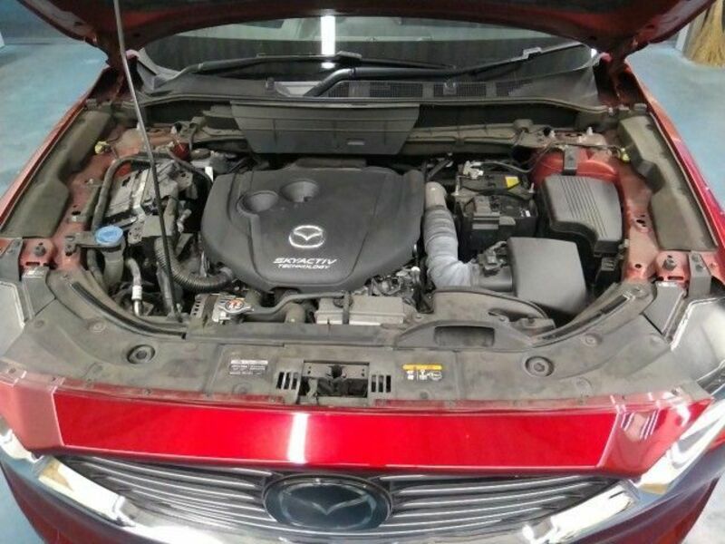 CX-8
