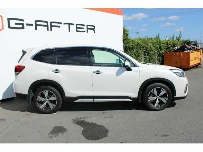 FORESTER