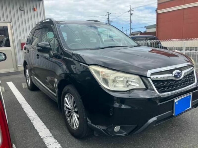 FORESTER