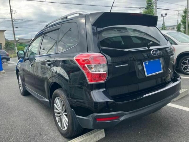 FORESTER