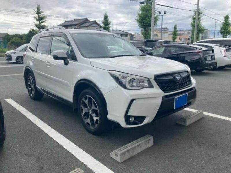 FORESTER