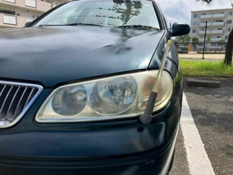 BLUEBIRD SYLPHY