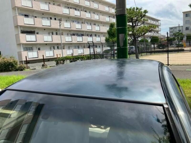 BLUEBIRD SYLPHY