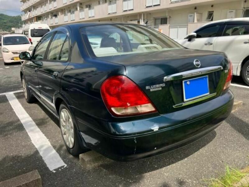 BLUEBIRD SYLPHY