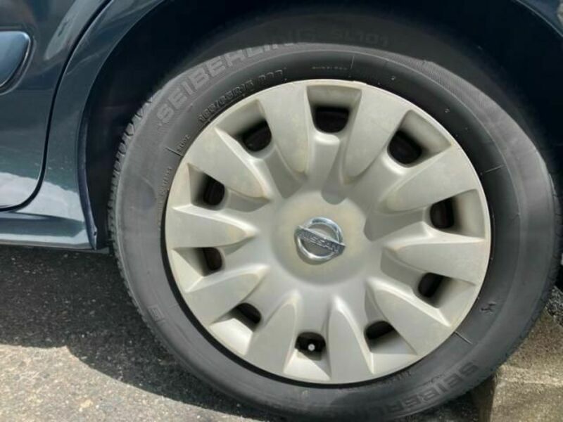 BLUEBIRD SYLPHY