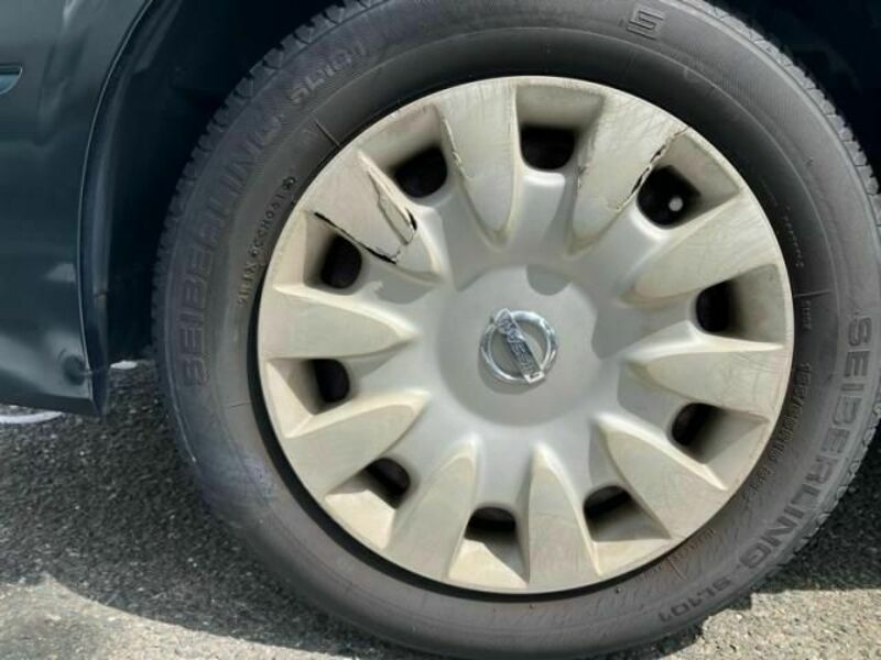 BLUEBIRD SYLPHY