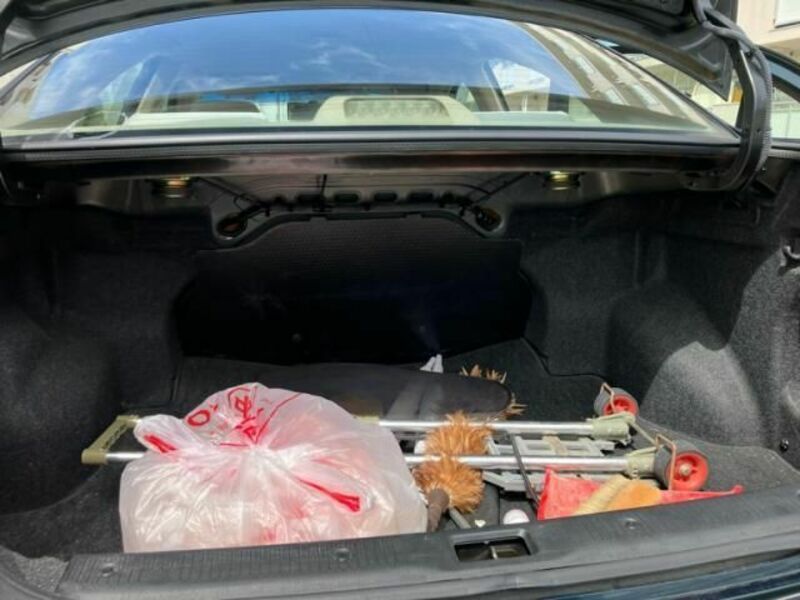 BLUEBIRD SYLPHY