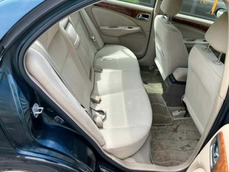 BLUEBIRD SYLPHY