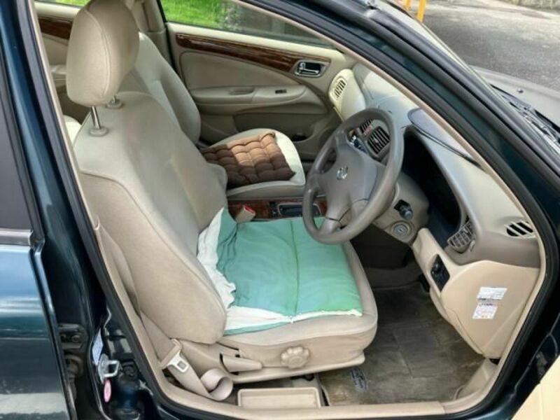 BLUEBIRD SYLPHY