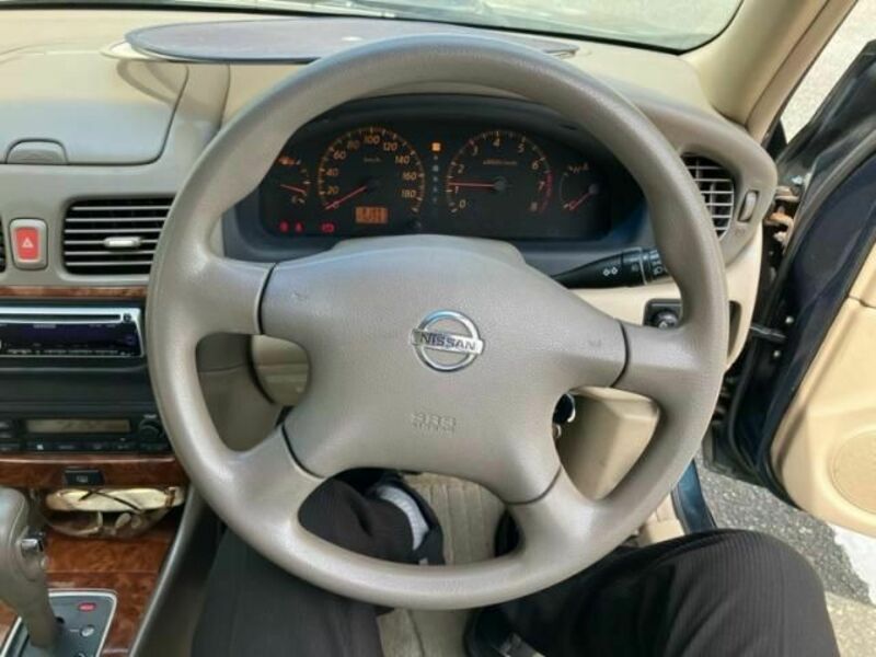 BLUEBIRD SYLPHY