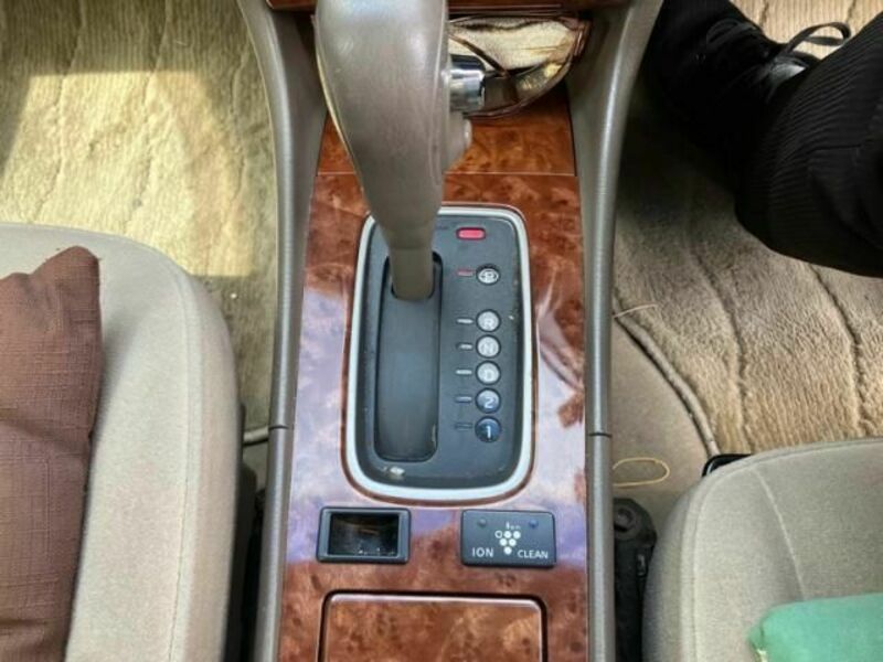 BLUEBIRD SYLPHY