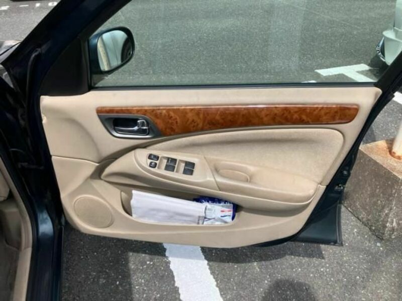 BLUEBIRD SYLPHY