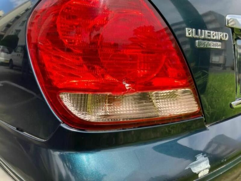 BLUEBIRD SYLPHY