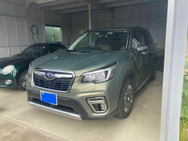 FORESTER-0