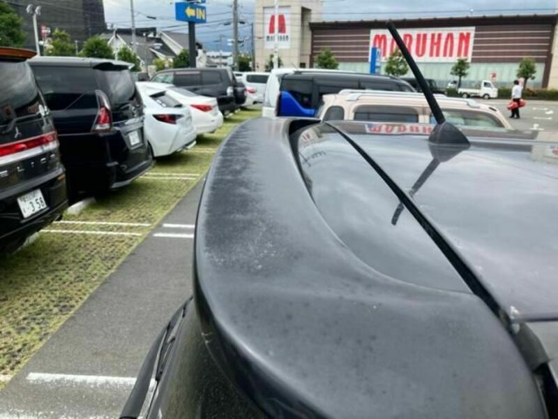 COROLLA RUMION