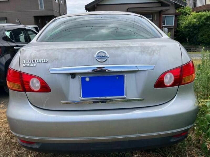 BLUEBIRD SYLPHY