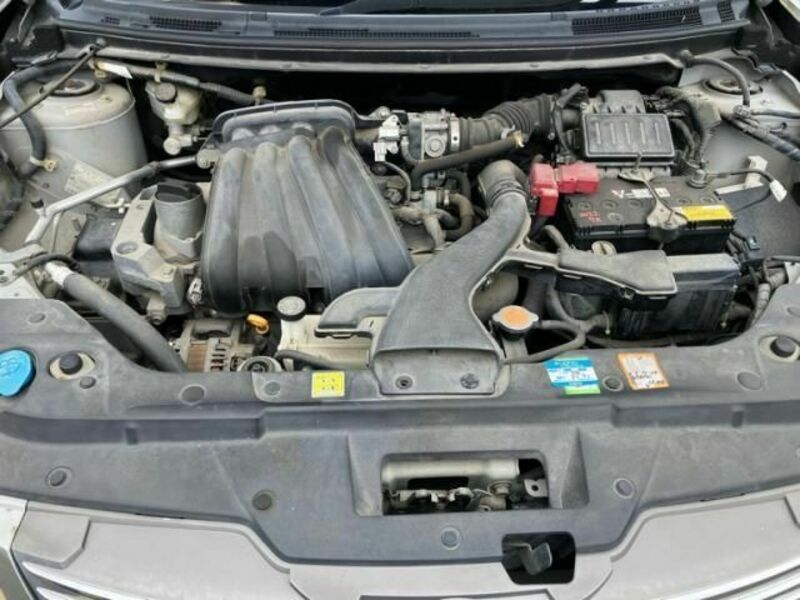BLUEBIRD SYLPHY