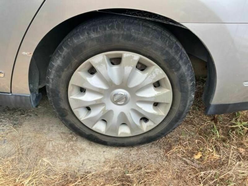 BLUEBIRD SYLPHY