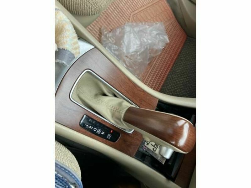 BLUEBIRD SYLPHY