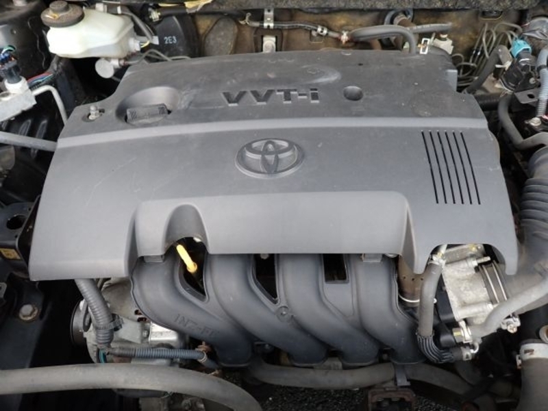 COROLLA RUMION
