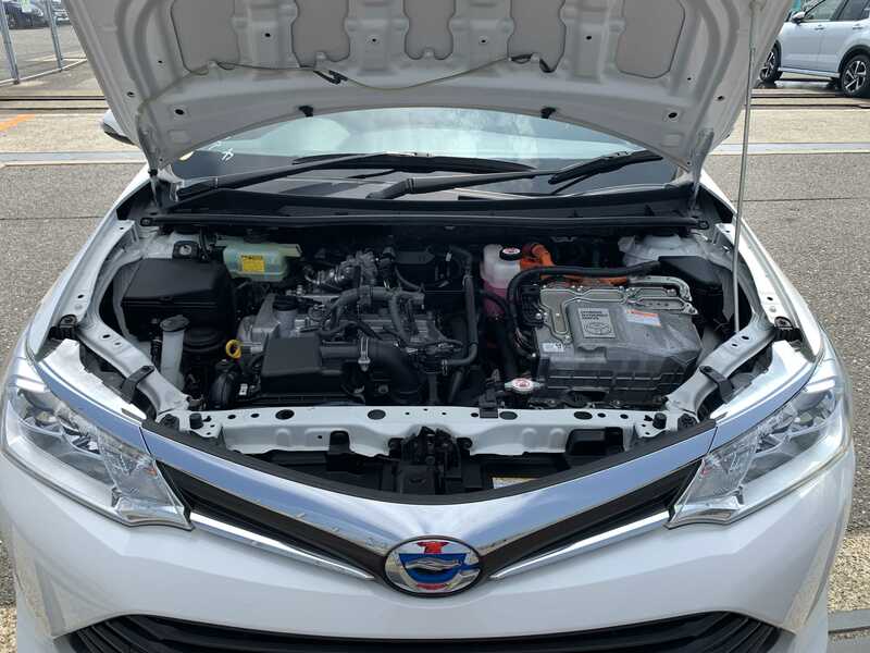 COROLLA FIELDER