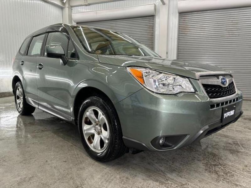 FORESTER