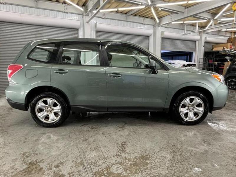 FORESTER