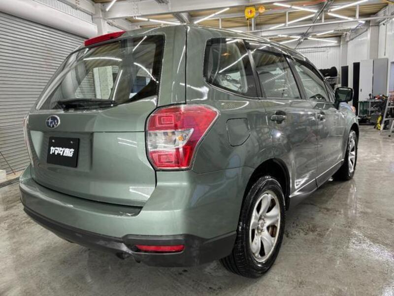 FORESTER