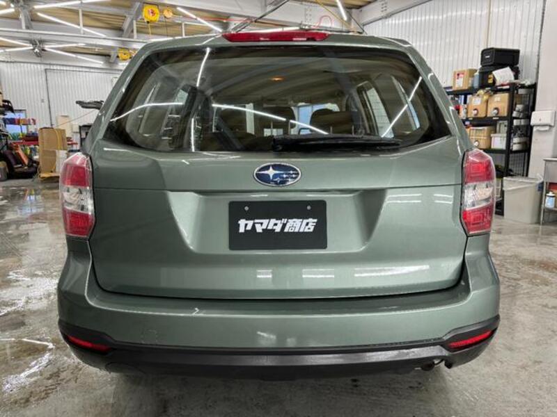 FORESTER