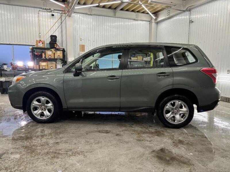 FORESTER