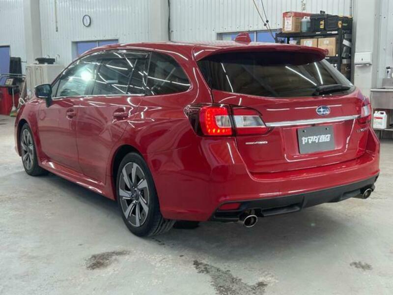LEVORG