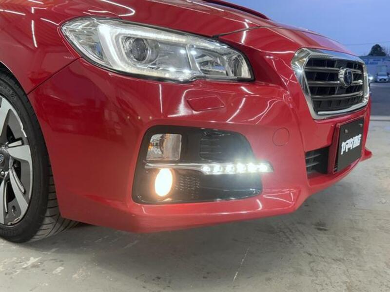 LEVORG